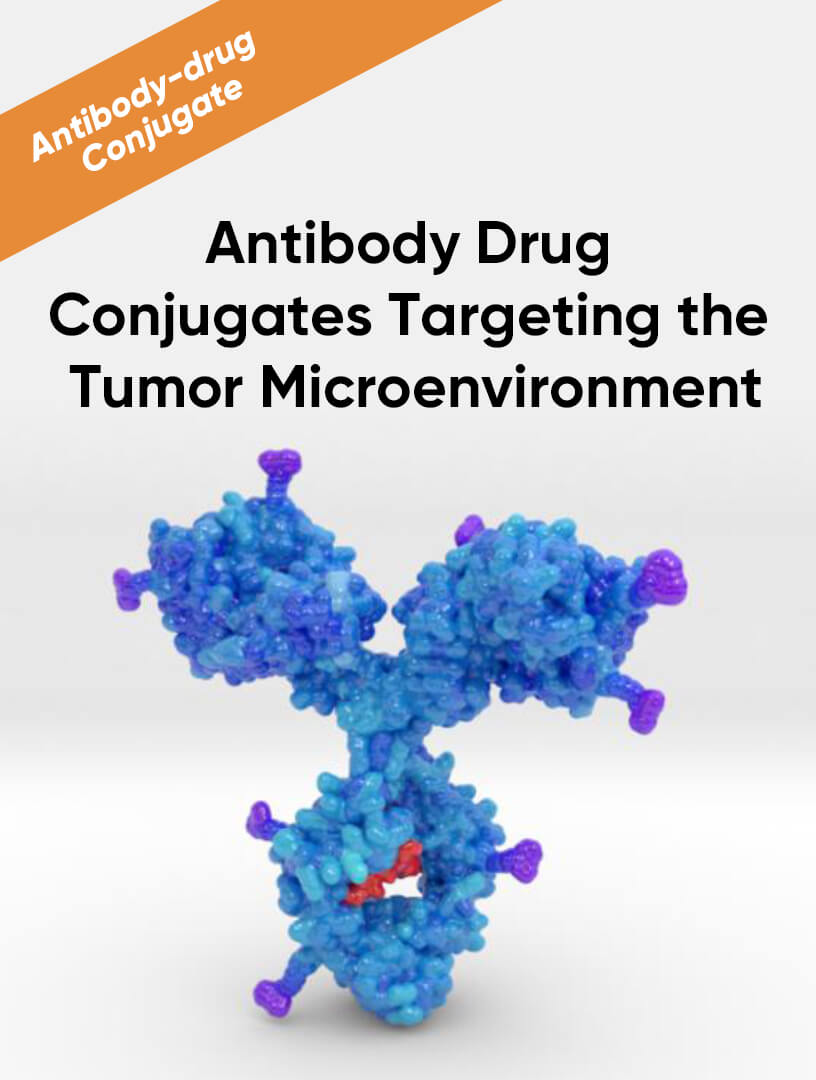 Antibody Drug Conjugates Targeting the Tumor Microenvironment